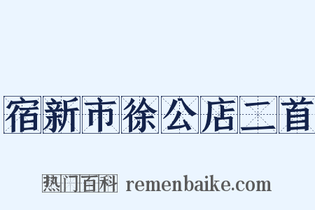 宿新市徐公店二首是什么意思的图片